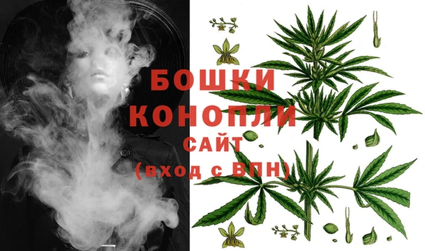спайс Сосновый Бор