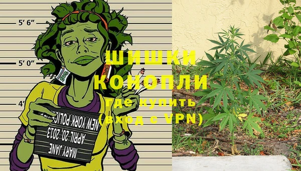 спайс Сосновый Бор