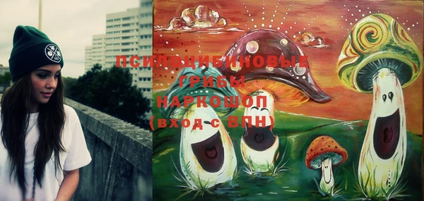 спайс Сосновый Бор